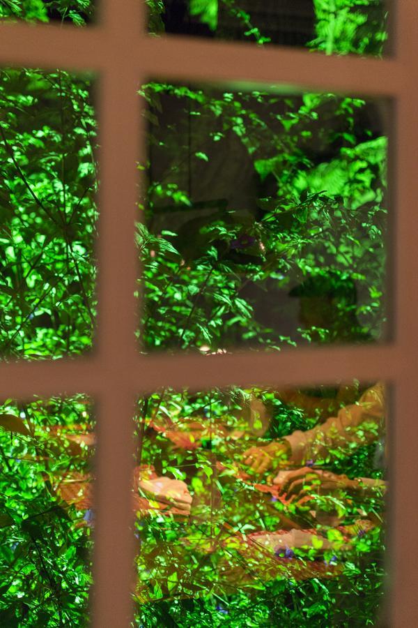 Chao De Minas Inn Ouro Preto (Minas Gerais)
